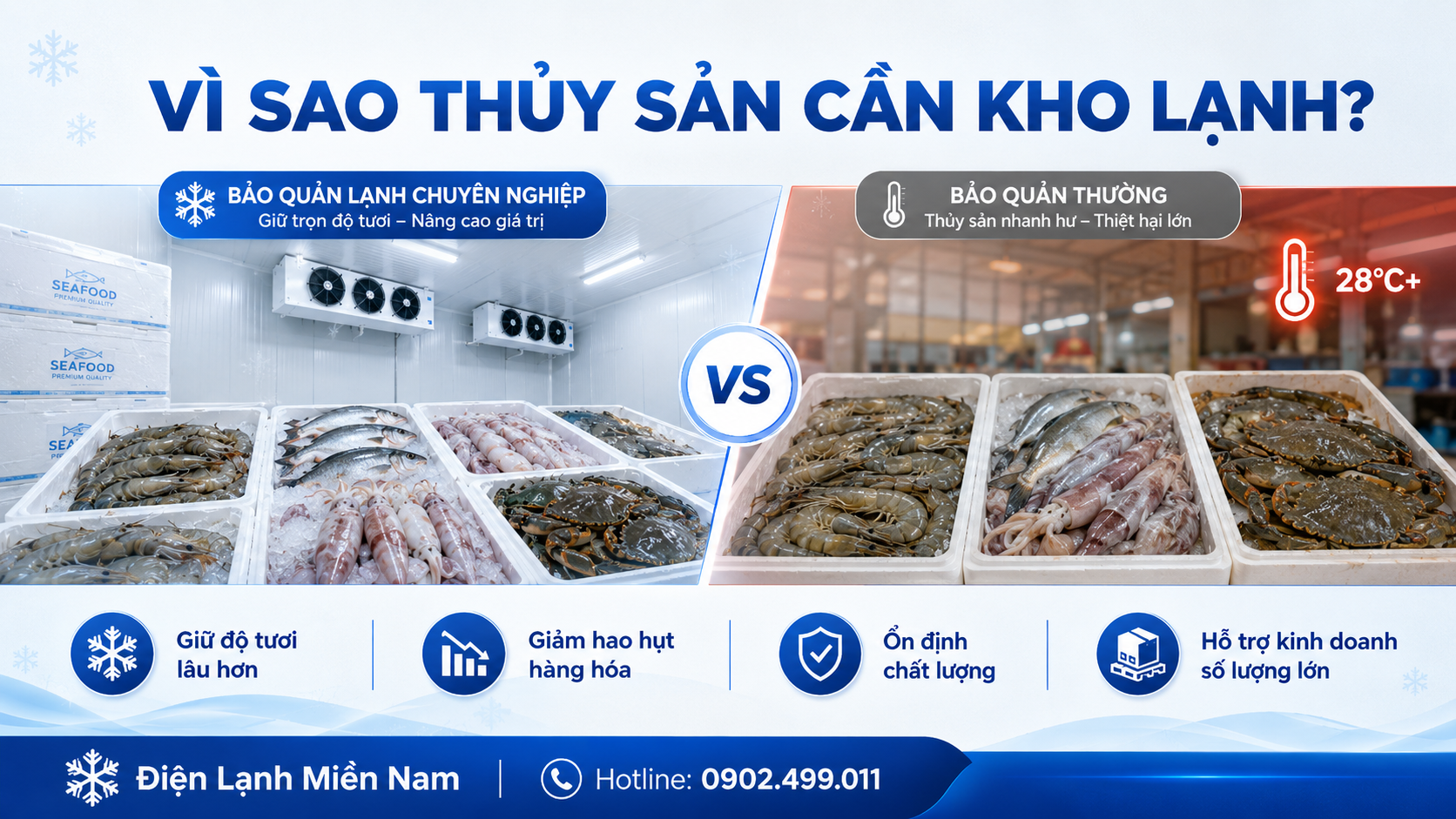 Lý do thủy sản cần kho lạnh để giữ độ tươi và giảm hao hụt hàng hóa