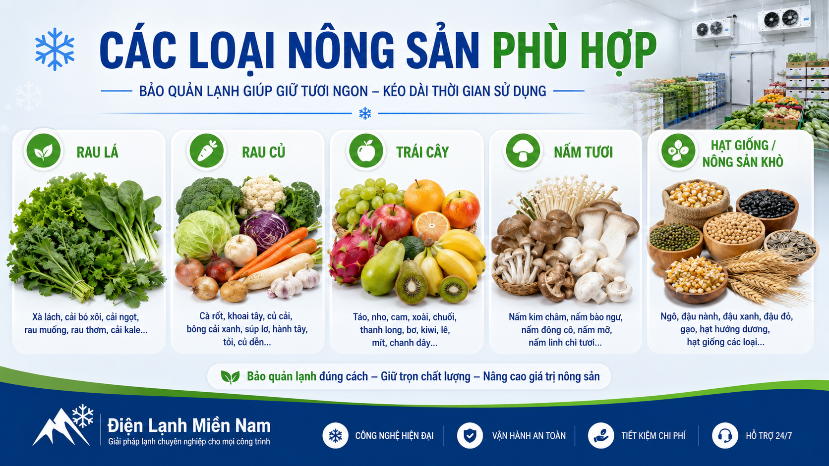 Các loại nông sản phù hợp bảo quản lạnh gồm rau lá, rau củ, trái cây, nấm và hạt giống