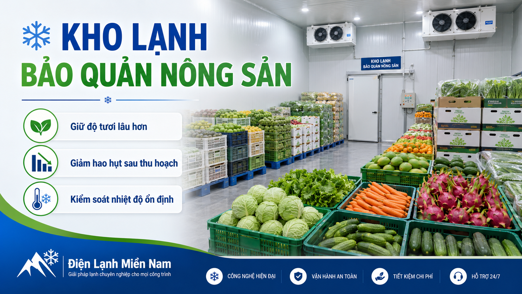 Kho lạnh bảo quản nông sản với rau củ quả tươi được sắp xếp trong phòng lạnh hiện đại