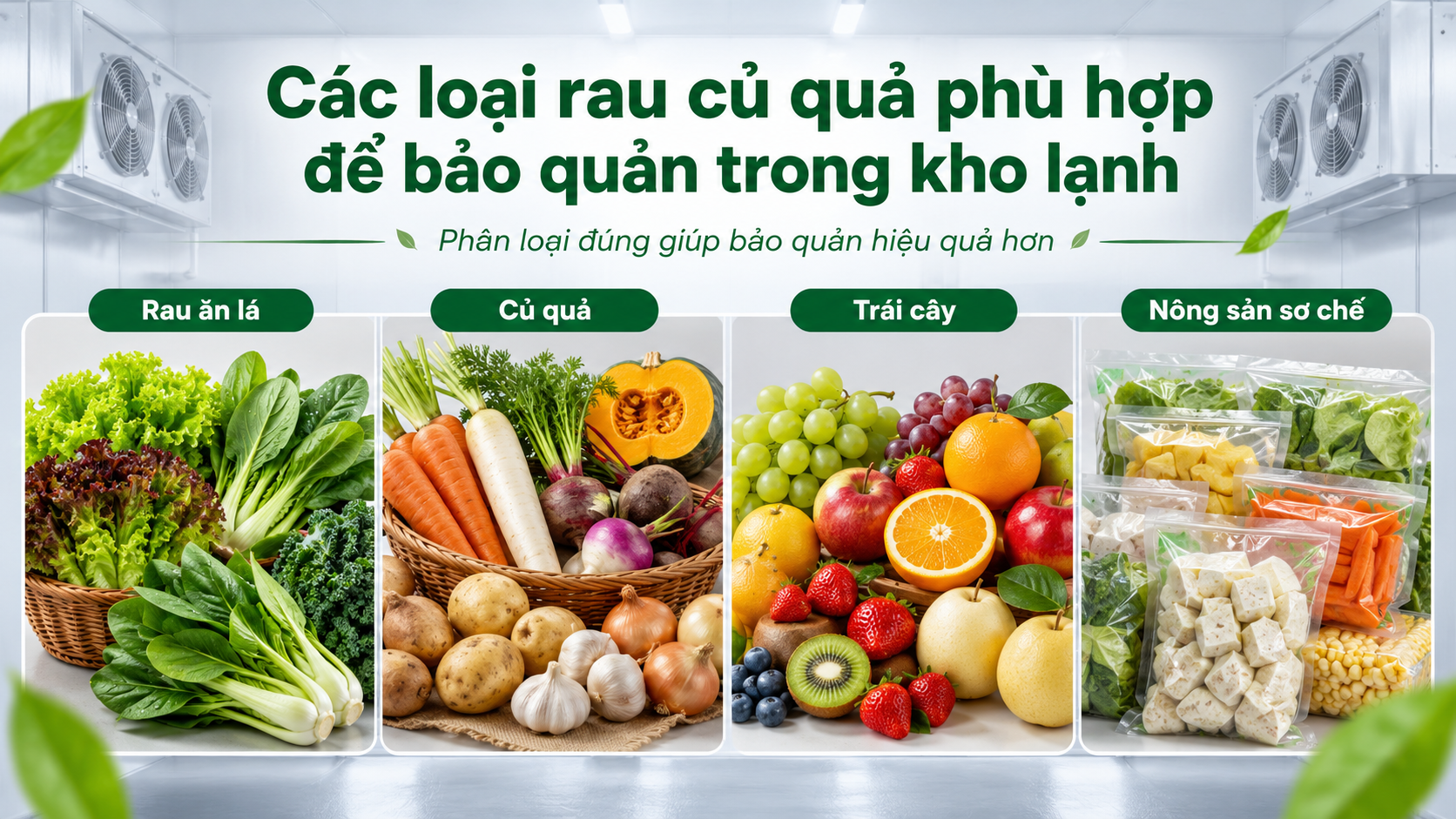 Các loại rau củ quả phù hợp bảo quản trong kho lạnh gồm rau ăn lá, củ quả, trái cây và nông sản sơ chế