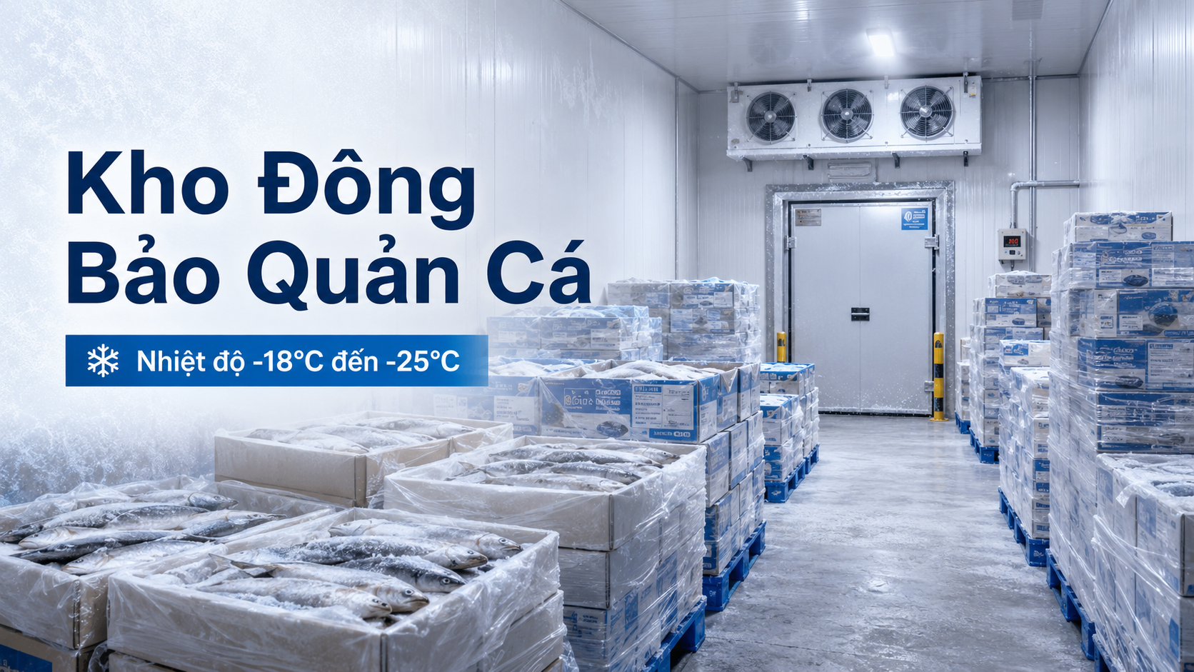 Kho đông bảo quản cá ở nhiệt độ âm 18 đến âm 25 độ C giúp lưu trữ cá lâu dài