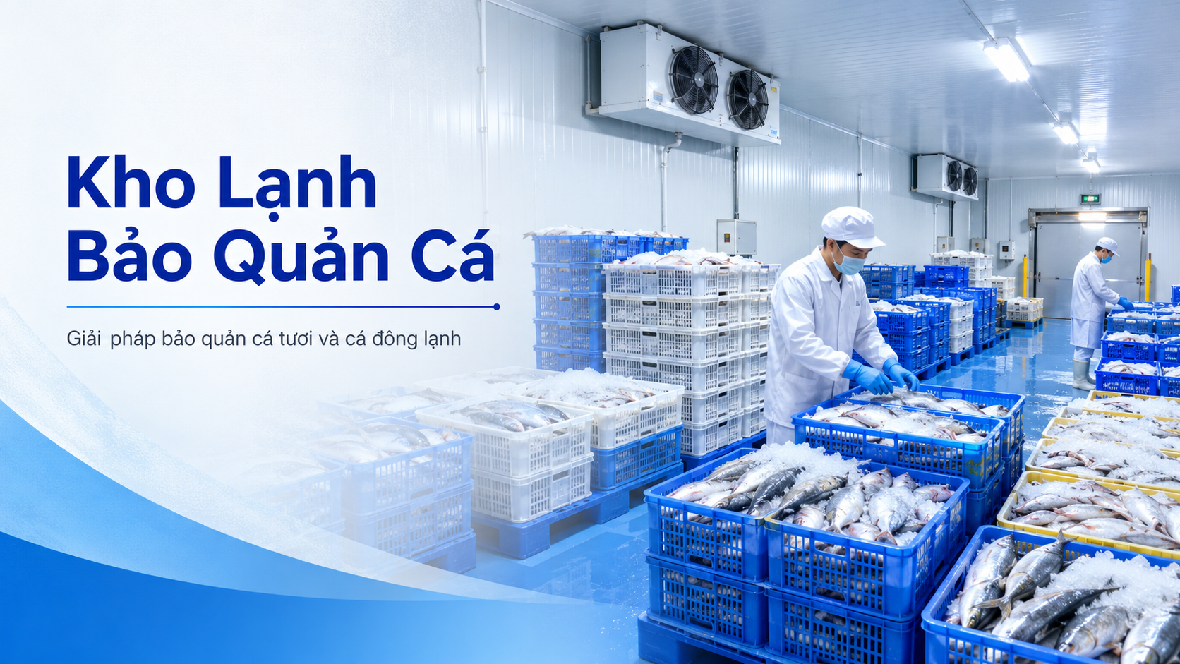 Kho lạnh bảo quản cá chuyên nghiệp giúp giữ cá tươi và cá đông lạnh ổn định nhiệt độ