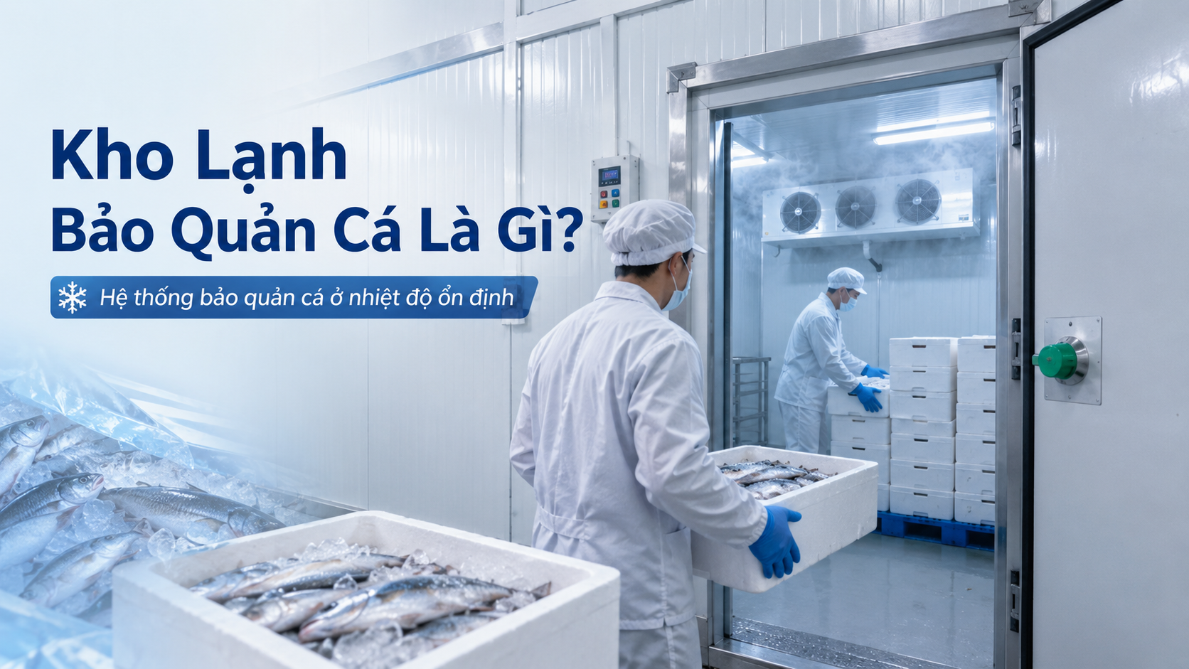 Công nhân đưa thùng cá vào kho lạnh bảo quản cá với hệ thống làm lạnh ổn định