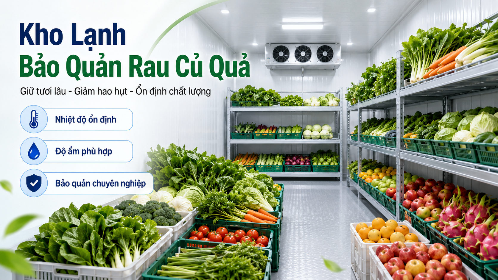 Kho lạnh bảo quản rau củ quả tươi lâu, giúp giữ chất lượng và giảm hao hụt sau thu hoạch