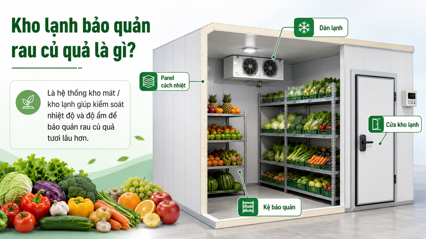 Mô hình kho lạnh bảo quản rau củ quả với panel cách nhiệt, dàn lạnh, cửa kho và kệ bảo quản