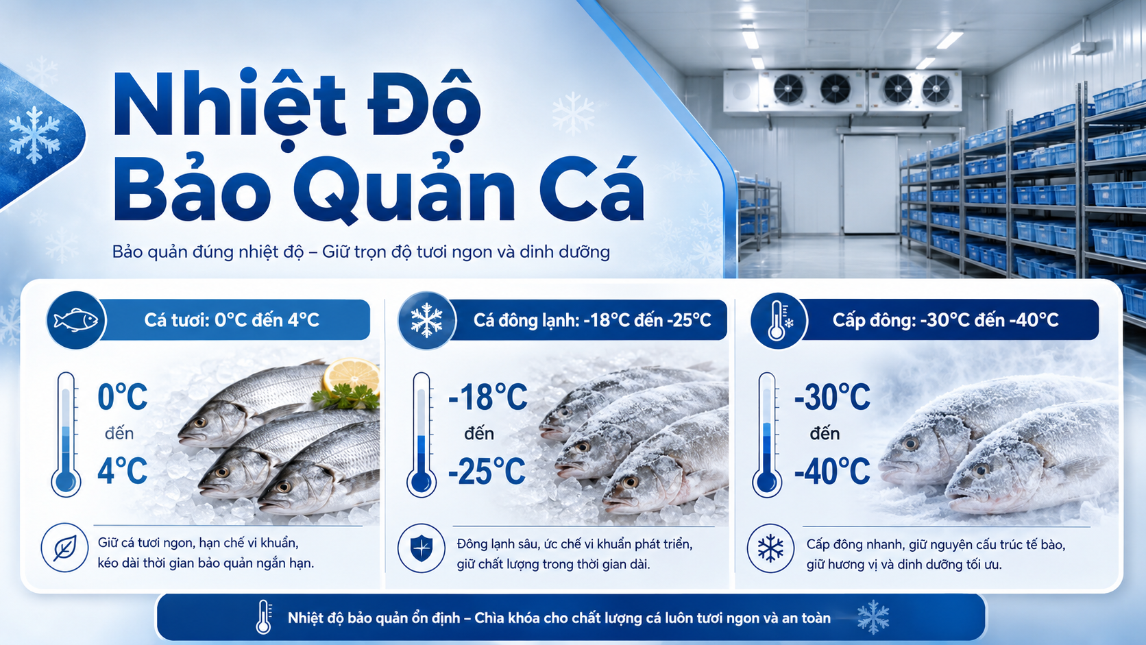 Bảng nhiệt độ bảo quản cá tươi cá đông lạnh và cá cấp đông đúng tiêu chuẩn