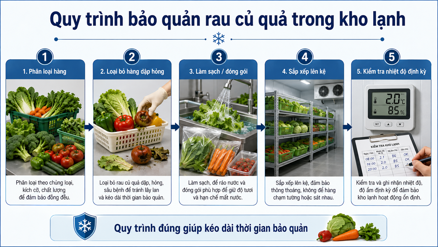 Quy trình bảo quản rau củ quả trong kho lạnh từ phân loại, làm sạch, đóng gói đến kiểm tra nhiệt độ