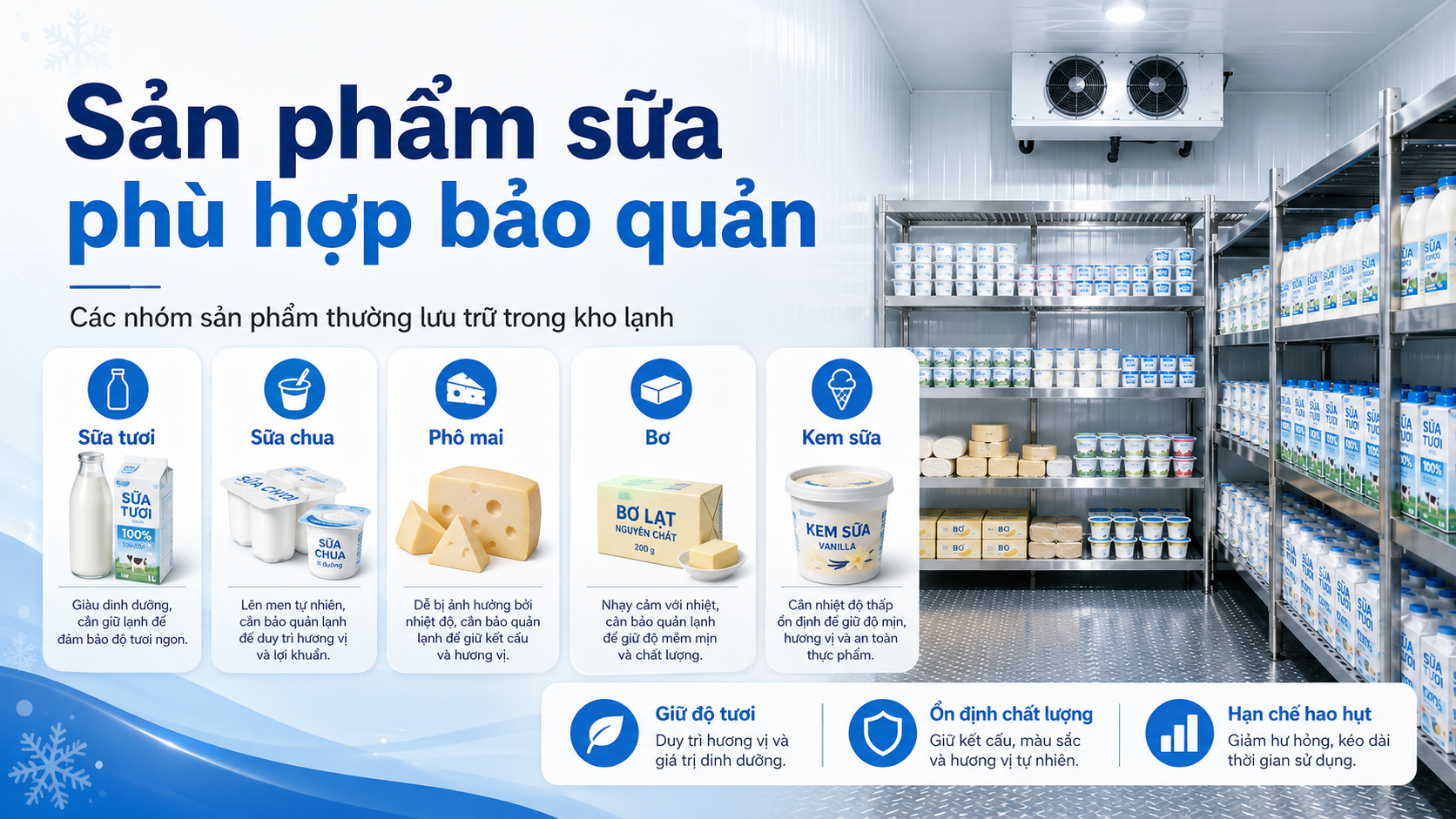Các sản phẩm sữa phù hợp bảo quản trong kho lạnh gồm sữa tươi, sữa chua, phô mai, bơ và kem sữa.