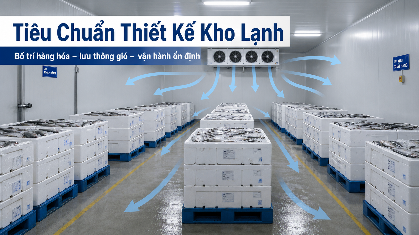 Tiêu chuẩn thiết kế kho lạnh bảo quản cá với luồng gió đều và bố trí pallet hợp lý