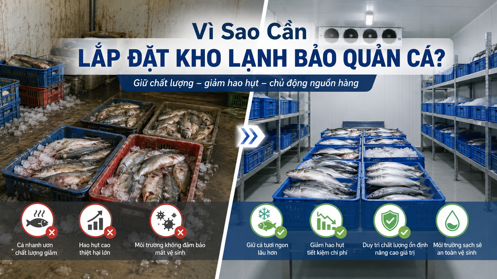 So sánh cá bảo quản sai cách và cá được lưu trữ trong kho lạnh đạt chuẩn