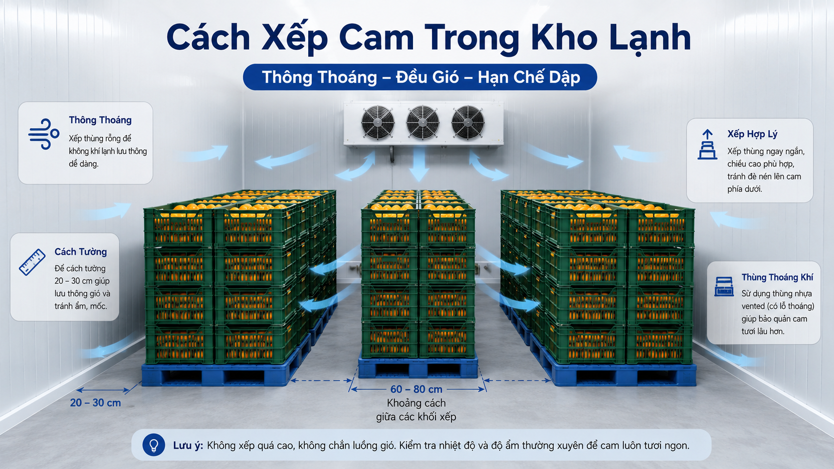 Cách xếp cam trong kho lạnh thông thoáng giúp khí lạnh lưu thông đều
