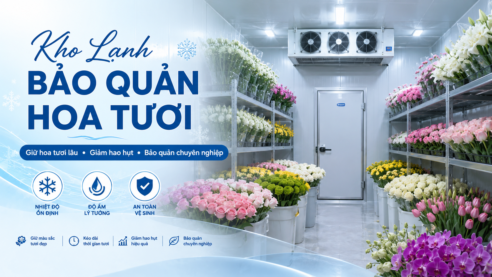 Kho lạnh bảo quản hoa tươi chuyên nghiệp giúp giữ hoa tươi lâu và giảm hao hụt