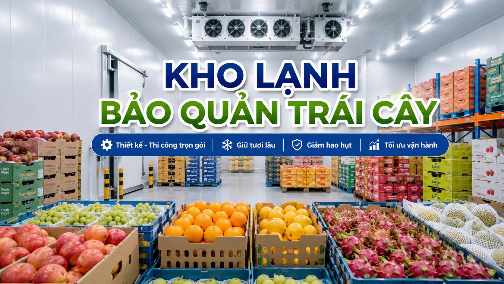 Kho lạnh bảo quản trái cây hiện đại với pallet táo, nho, cam, xoài, thanh long và dưa lưới