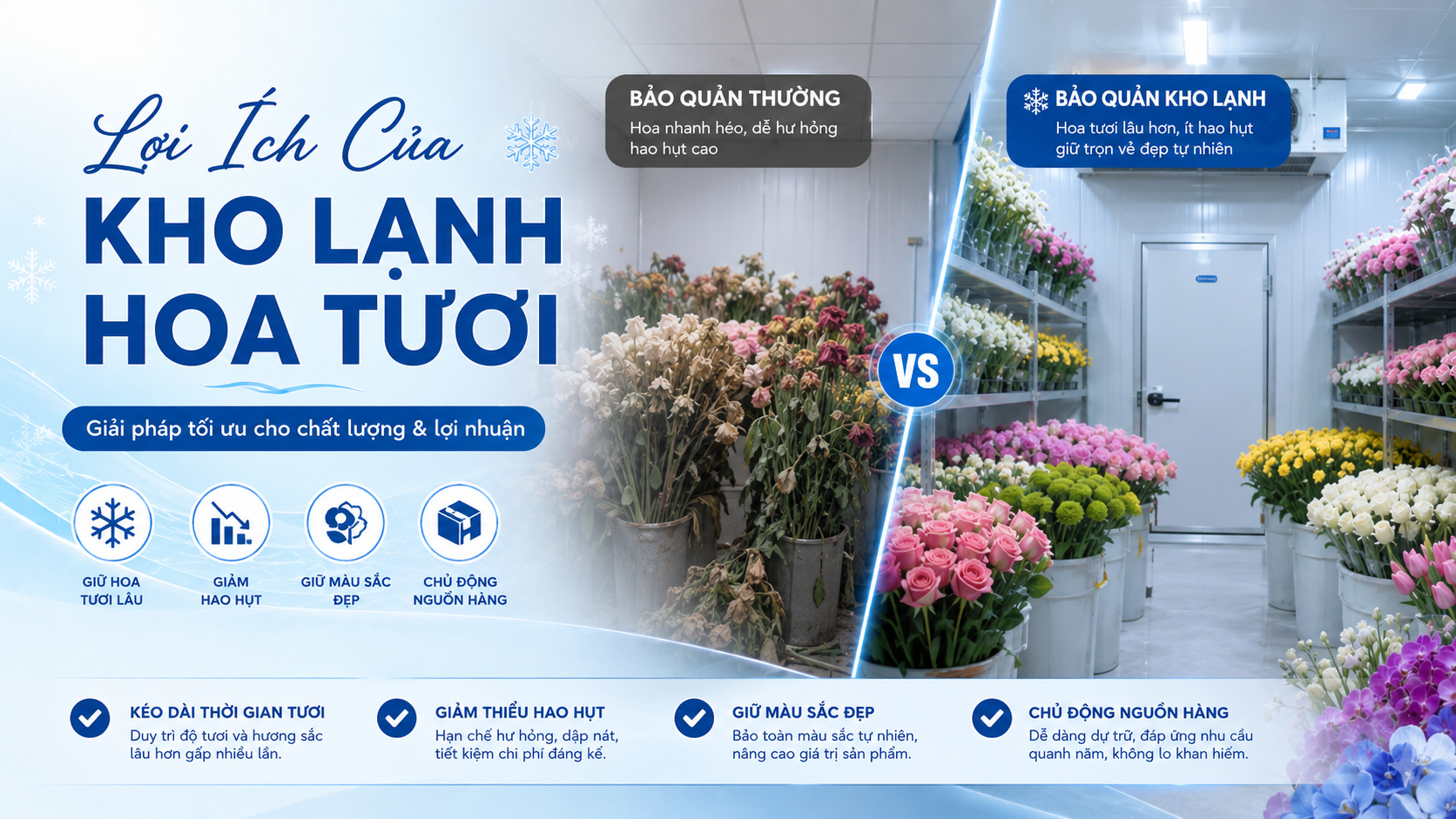 Lợi ích của kho lạnh bảo quản hoa tươi giúp hoa tươi lâu, giữ màu sắc đẹp và giảm hao hụt