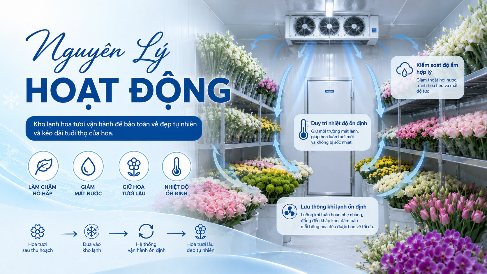 Nguyên lý hoạt động kho lạnh hoa tươi giúp duy trì nhiệt độ ổn định và lưu thông khí lạnh đều
