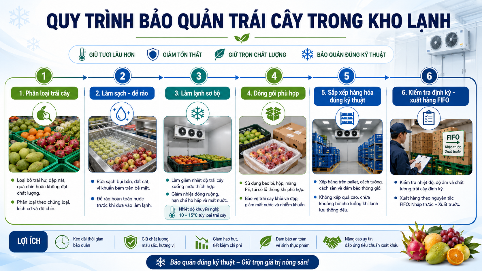 Quy trình bảo quản trái cây trong kho lạnh từ phân loại, làm sạch, làm lạnh sơ bộ đến xuất hàng FIFO