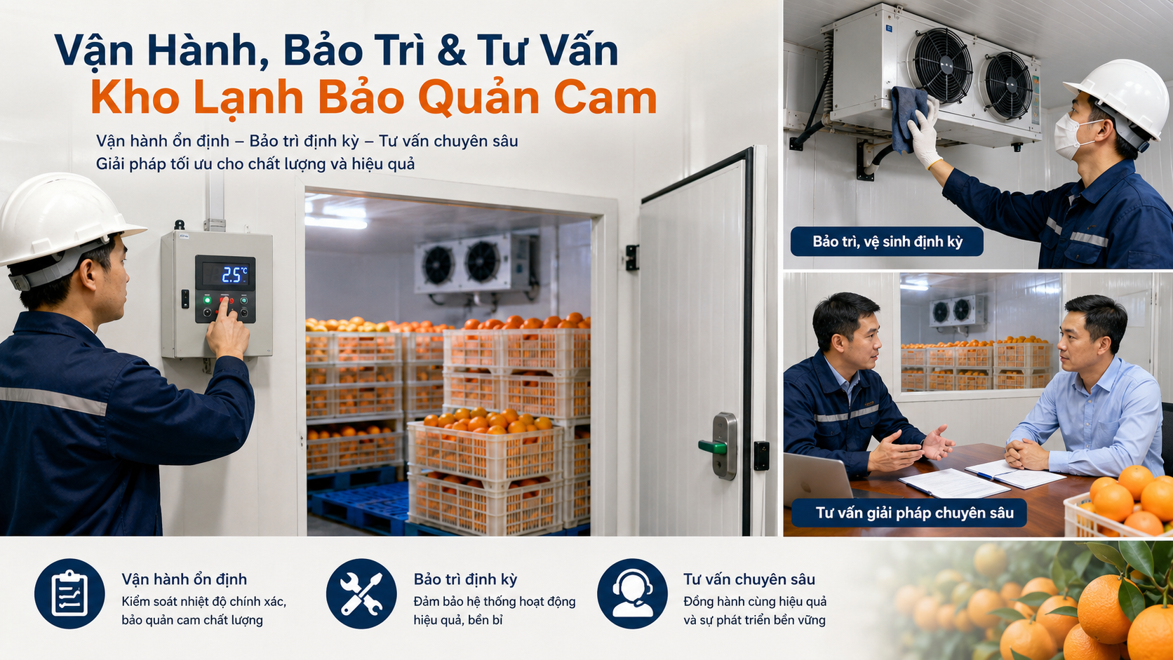 Kỹ thuật viên vận hành, bảo trì và tư vấn kho lạnh bảo quản cam chuyên nghiệp