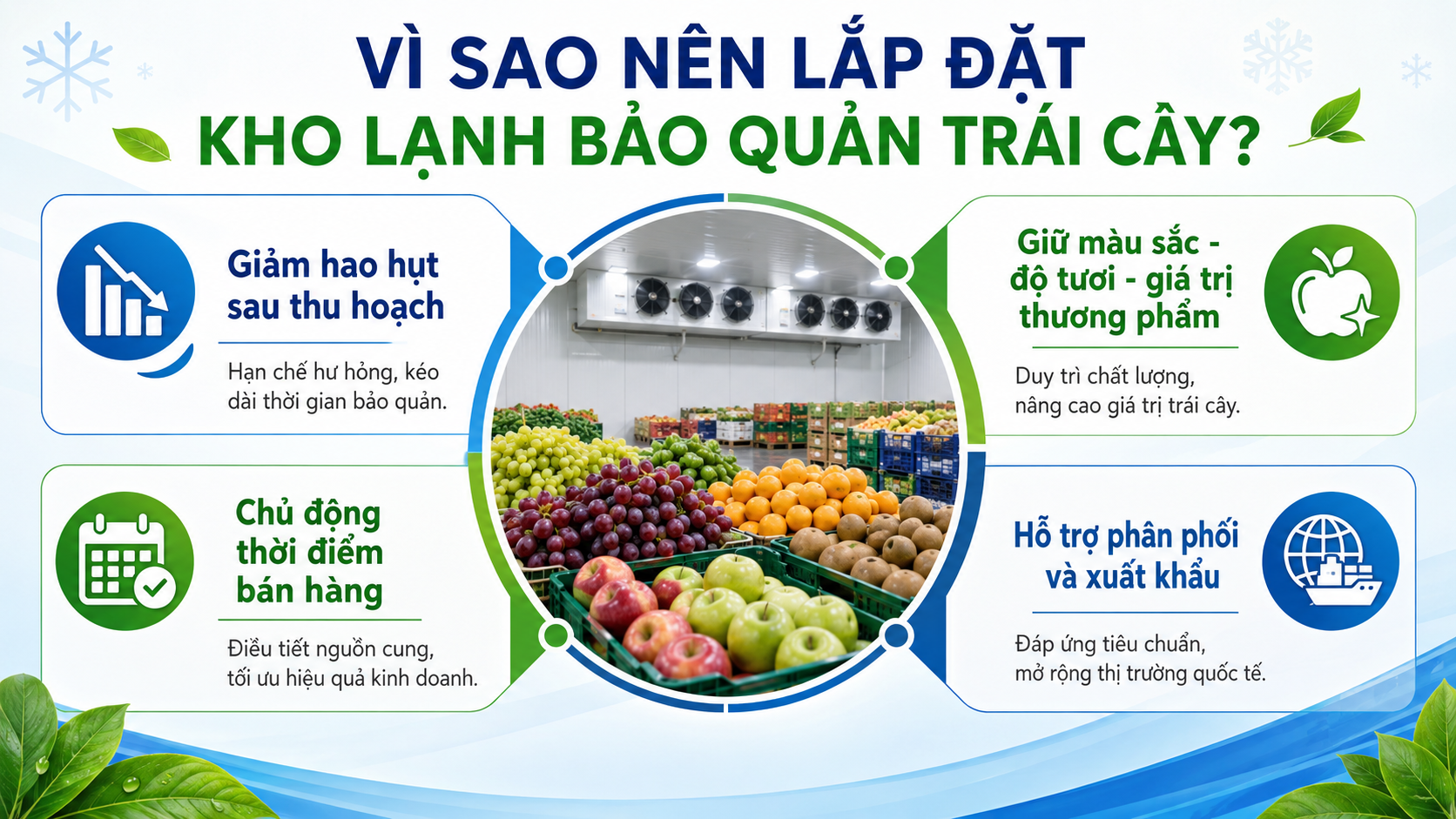 Lợi ích khi lắp đặt kho lạnh bảo quản trái cây giúp giảm hao hụt, giữ độ tươi và hỗ trợ xuất khẩu