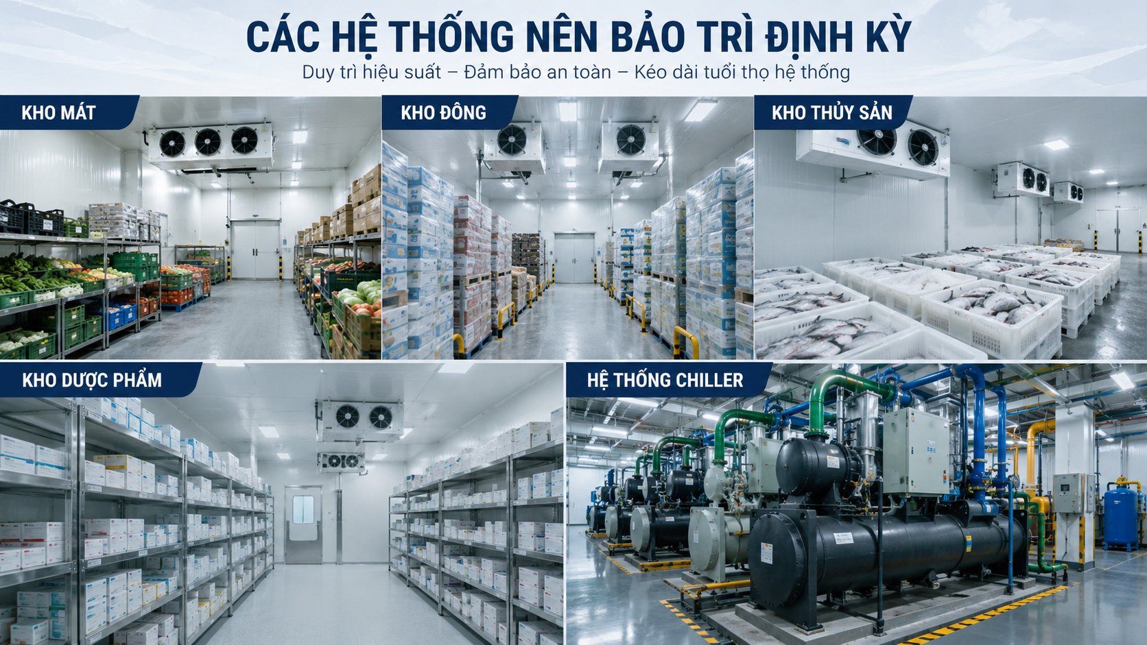 Các hệ thống nên bảo trì định kỳ gồm kho mát, kho đông, kho thủy sản, kho dược phẩm và hệ thống chiller.