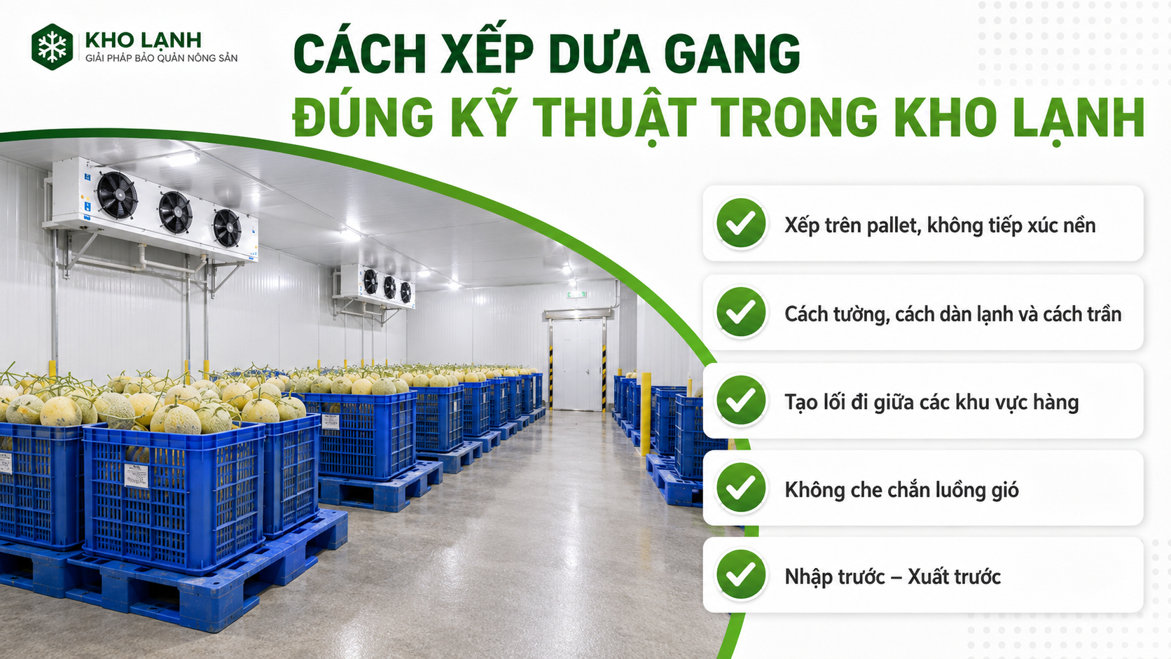 Cách xếp dưa gang đúng kỹ thuật trong kho lạnh bằng pallet, tạo lối đi và giữ khoảng cách với dàn lạnh