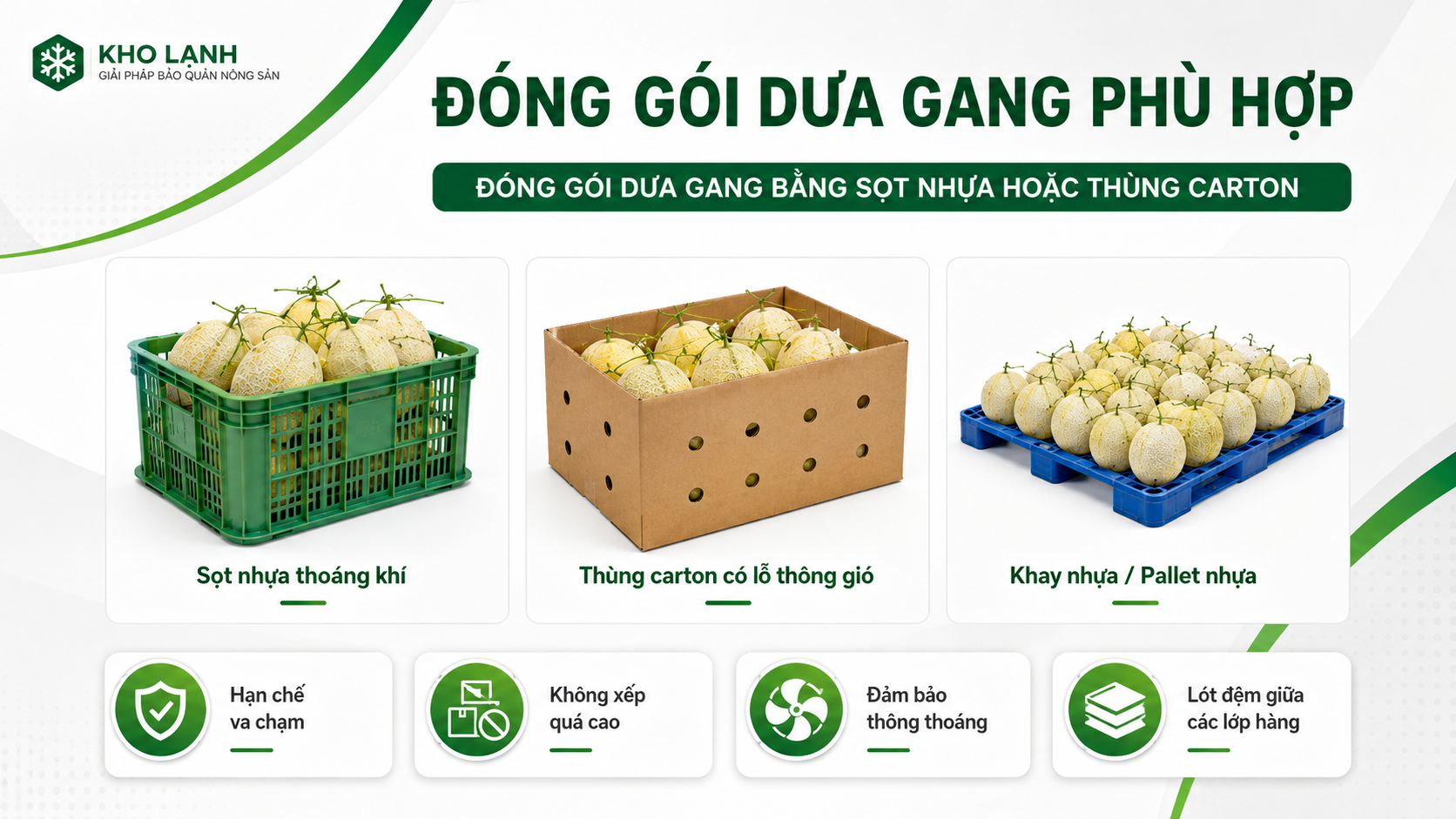 Hướng dẫn đóng gói dưa gang bằng sọt nhựa, thùng carton có lỗ thoáng và pallet nhựa trong kho lạnh