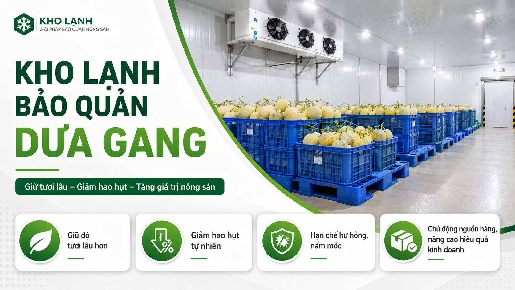 Kho lạnh bảo quản dưa gang với dưa xếp trong sọt nhựa trên pallet giúp giữ tươi và giảm hao hụt sau thu hoạch
