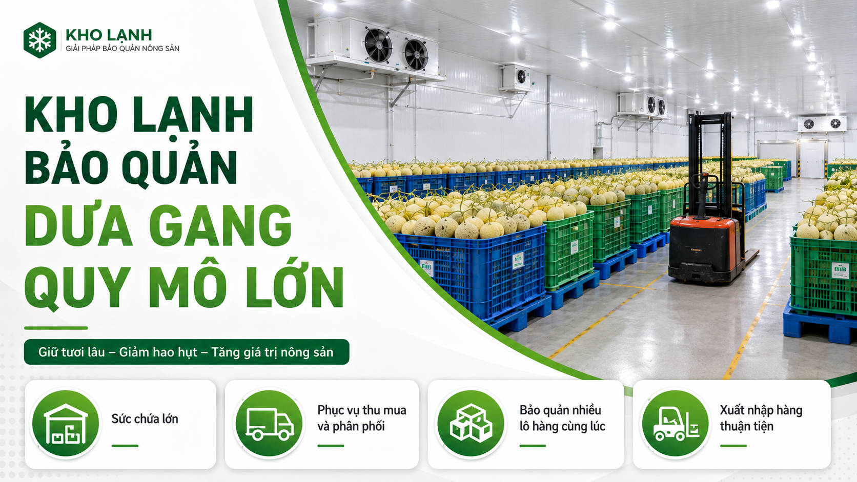 Kho lạnh bảo quản dưa gang quy mô lớn sử dụng pallet nhựa và xe nâng phục vụ thu mua, phân phối nông sản