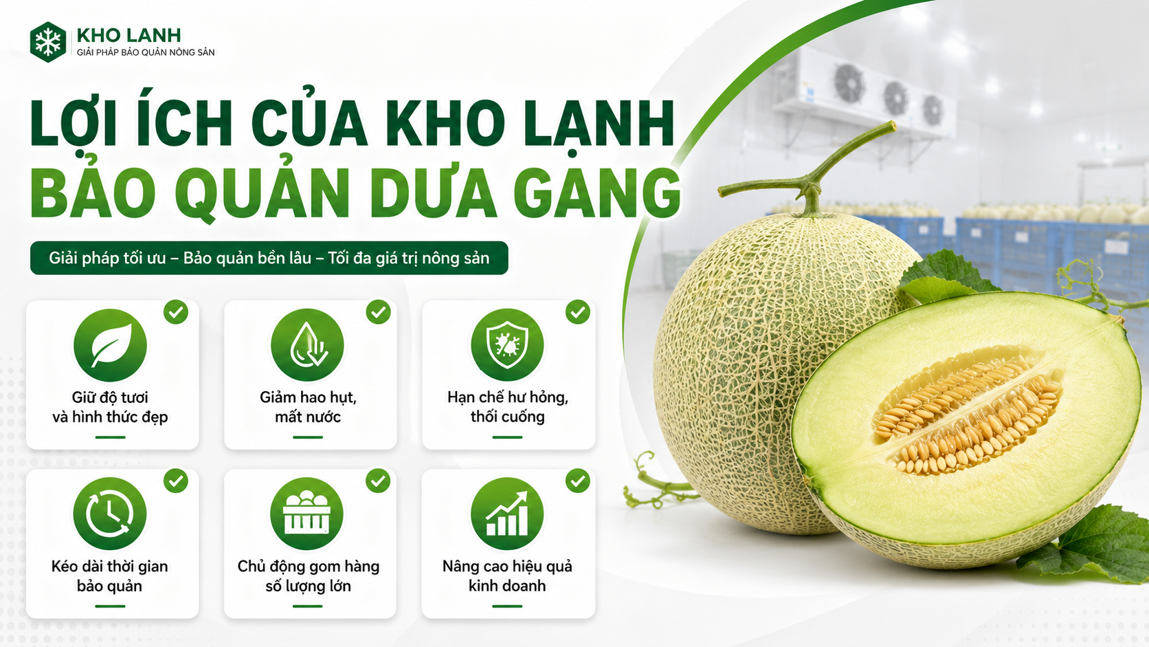 Lợi ích của kho lạnh bảo quản dưa gang giúp giữ độ tươi, giảm hao hụt và kéo dài thời gian tiêu thụ