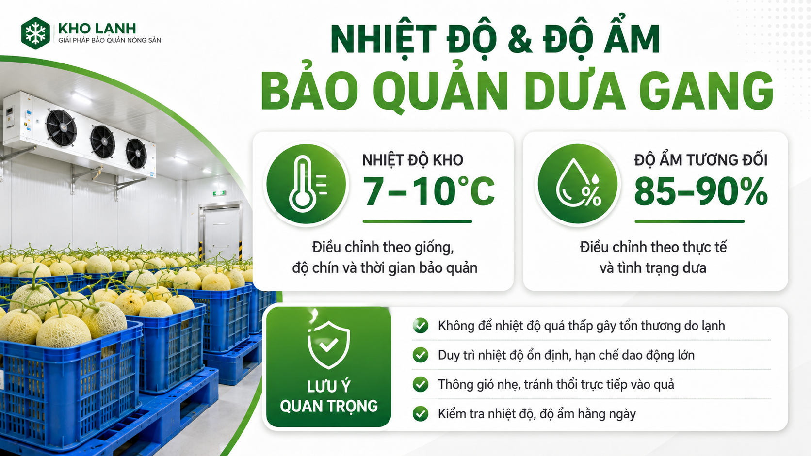 Infographic nhiệt độ 7 đến 10 độ C và độ ẩm 85 đến 90 phần trăm khi bảo quản dưa gang trong kho lạnh