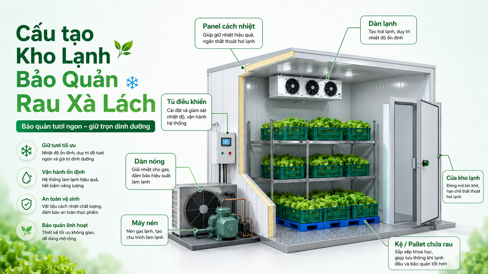 Sơ đồ cấu tạo kho lạnh rau xà lách gồm panel cách nhiệt, dàn lạnh, máy nén, cửa kho và kệ chứa rau