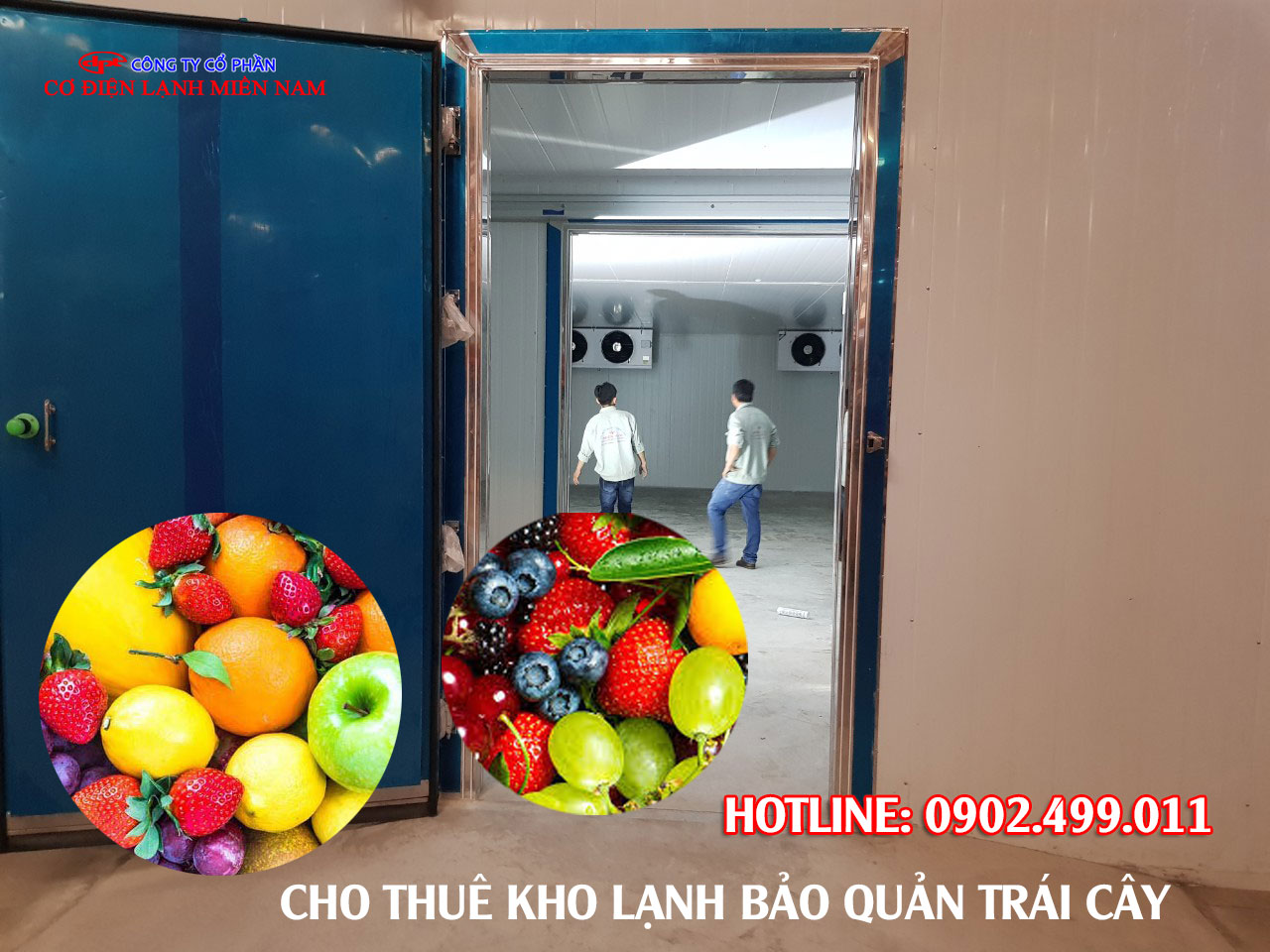 Giải pháp bảo quản trái cây tươi ngon, an toàn với kho lạnh Tân Bình