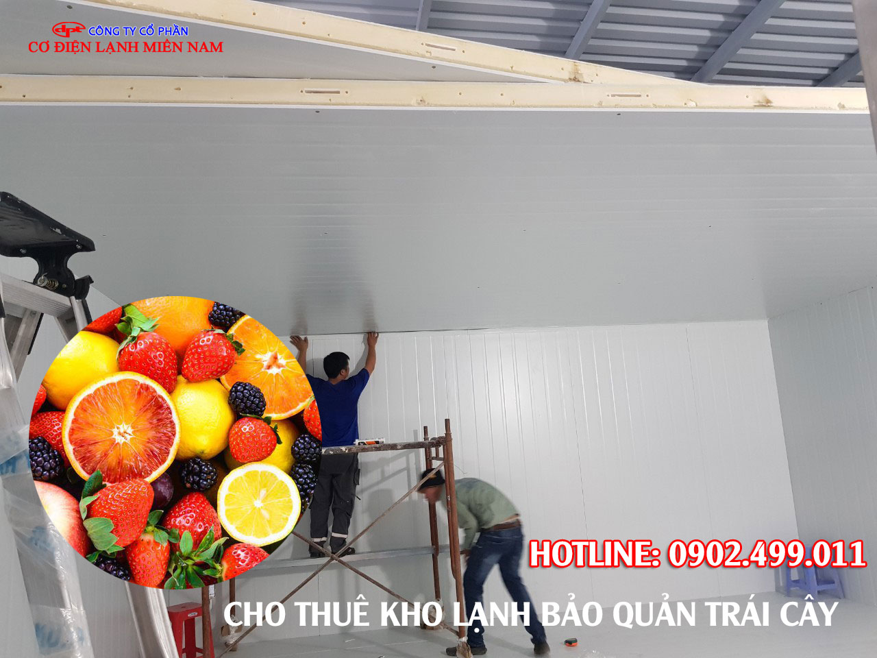 Vì sao nên thuê kho lạnh bảo quản trái cây tại Điện Lạnh Miền Nam?