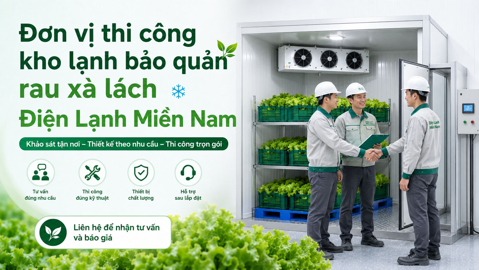 Điện Lạnh Miền Nam thi công kho lạnh bảo quản rau xà lách trọn gói theo nhu cầu thực tế