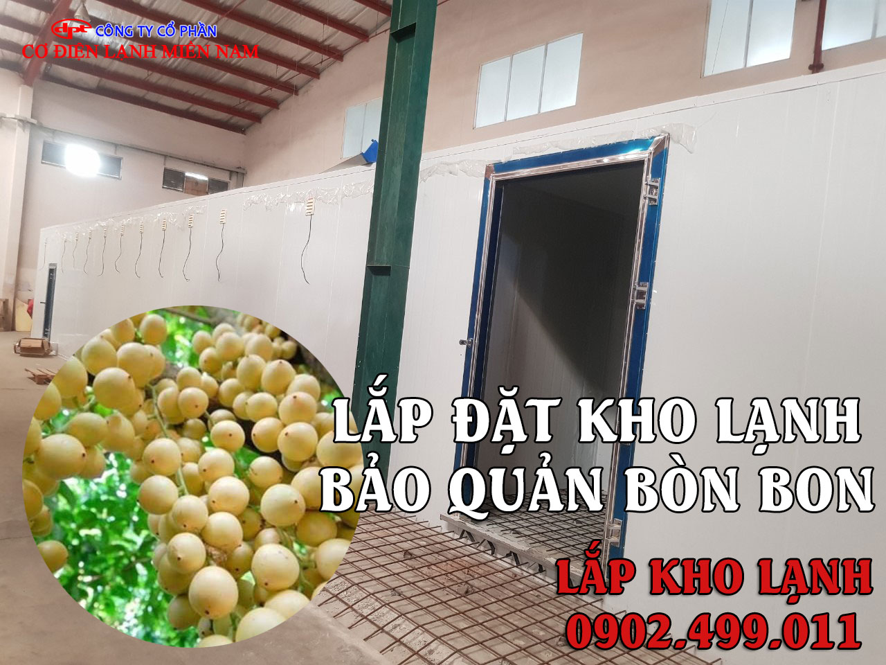 lắp đặt kho lạnh bảo quản trái Bòn Bon - Hình 1