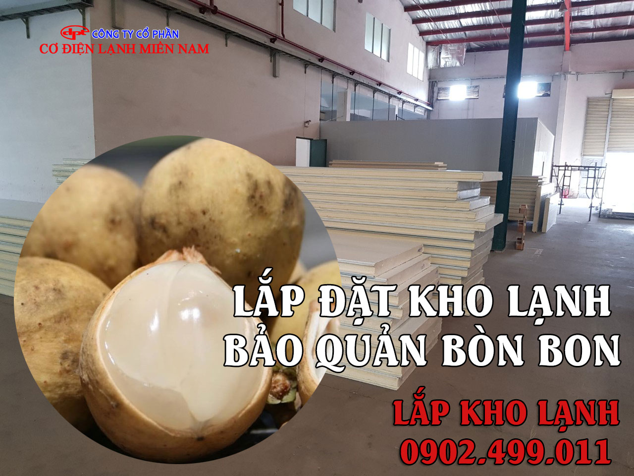 lắp đặt kho lạnh bảo quản trái Bòn Bon - Hình 2