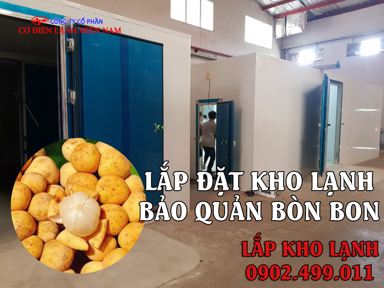 lắp đặt kho lạnh bảo quản trái Bòn Bon - Hình 3