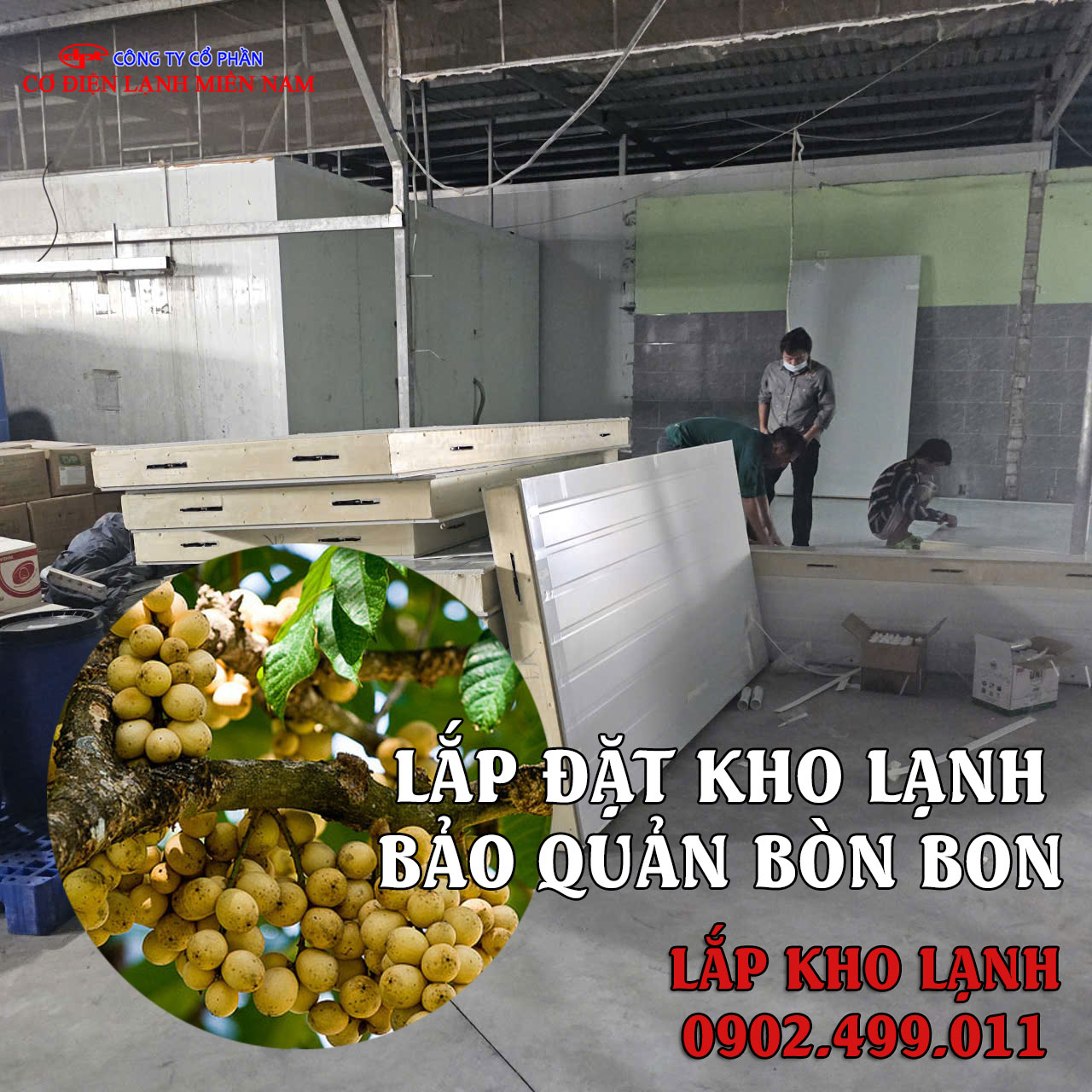 lắp đặt kho lạnh bảo quản trái Bòn Bon - Hình 4
