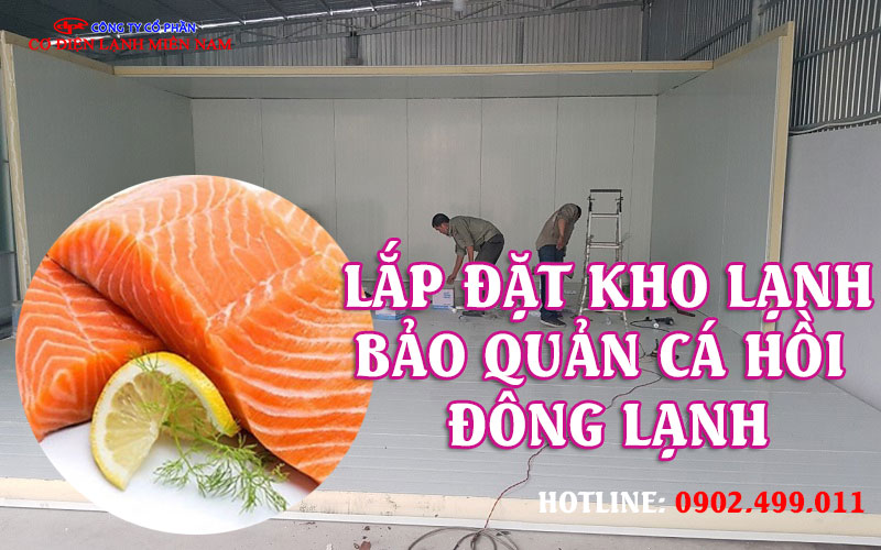 Lắp đặt kho lạnh bảo quản Cá Hồi Đông Lạnh - Hình 2