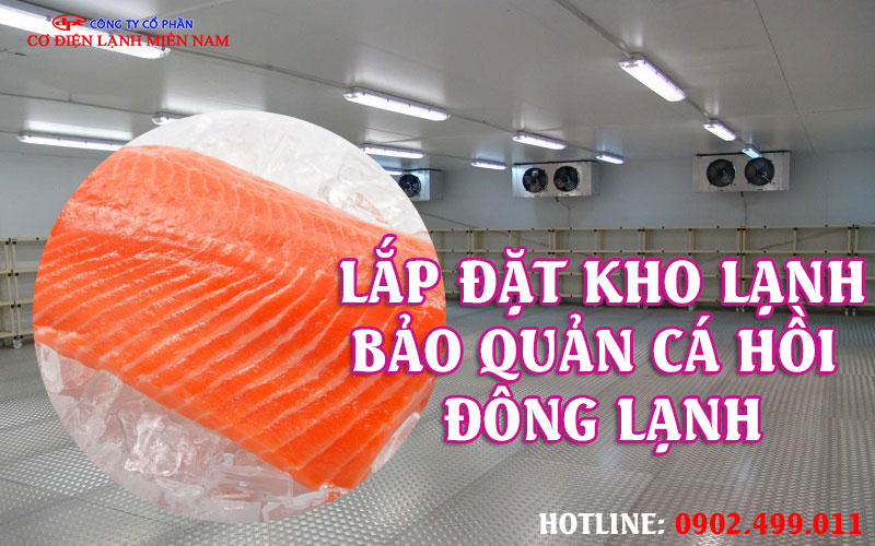 Lắp đặt kho lạnh bảo quản Cá Hồi Đông Lạnh - Hình 3