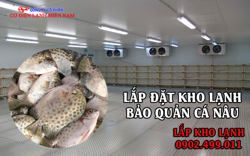 lắp đặt kho lạnh bảo quản cá Nâu - Hình 1