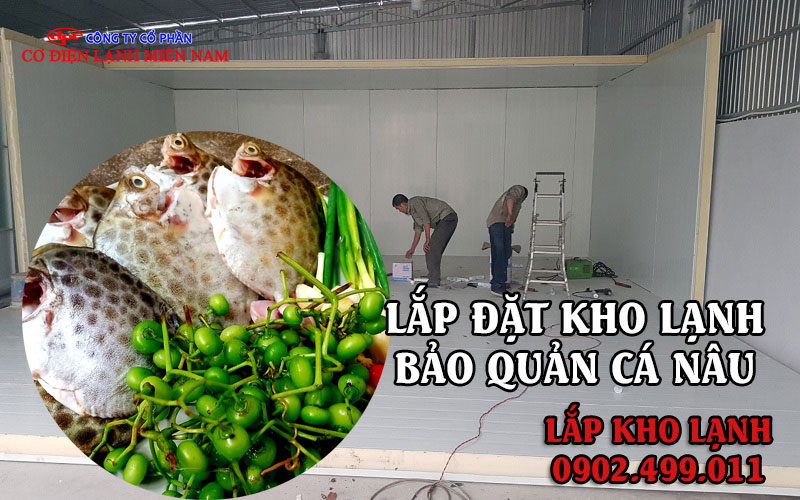 lắp đặt kho lạnh bảo quản cá Nâu - Hình 2