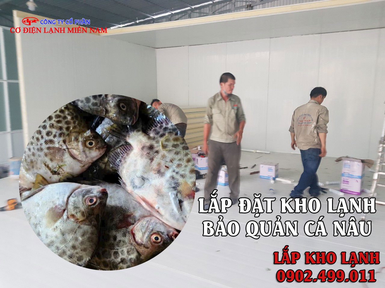 lắp đặt kho lạnh bảo quản cá Nâu - Hình 3