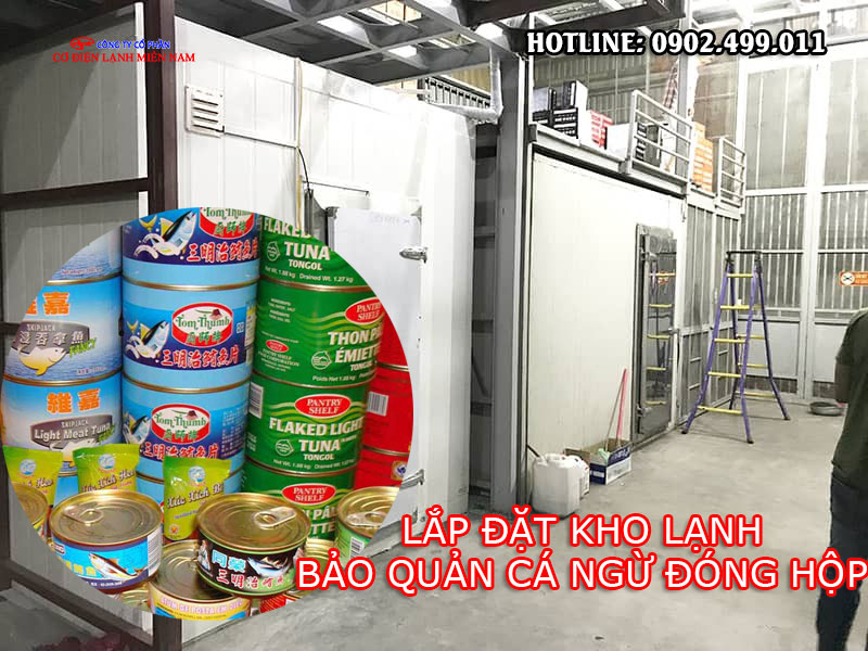 Giá Trị Dinh Dưỡng Của Cá Ngừ Đóng Hộp