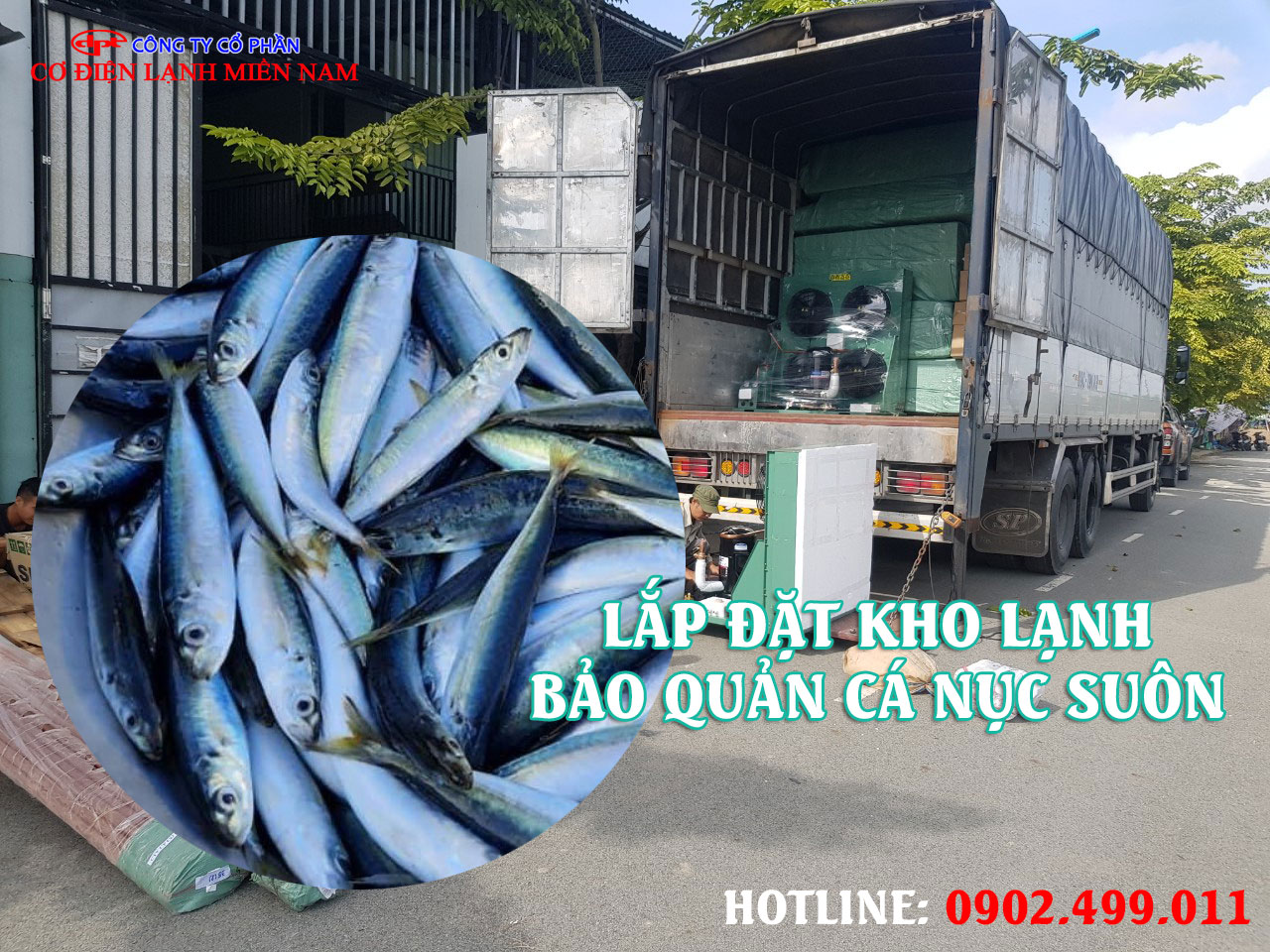 Lắp đặt kho lạnh bảo quản Cá Nục Suôn đông lạnh xuất khẩu - Hình 2