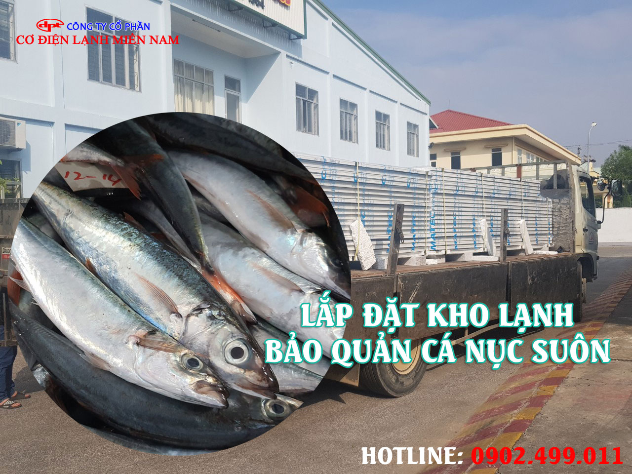 Lắp đặt kho lạnh bảo quản Cá Nục Suôn đông lạnh xuất khẩu - Hình 3