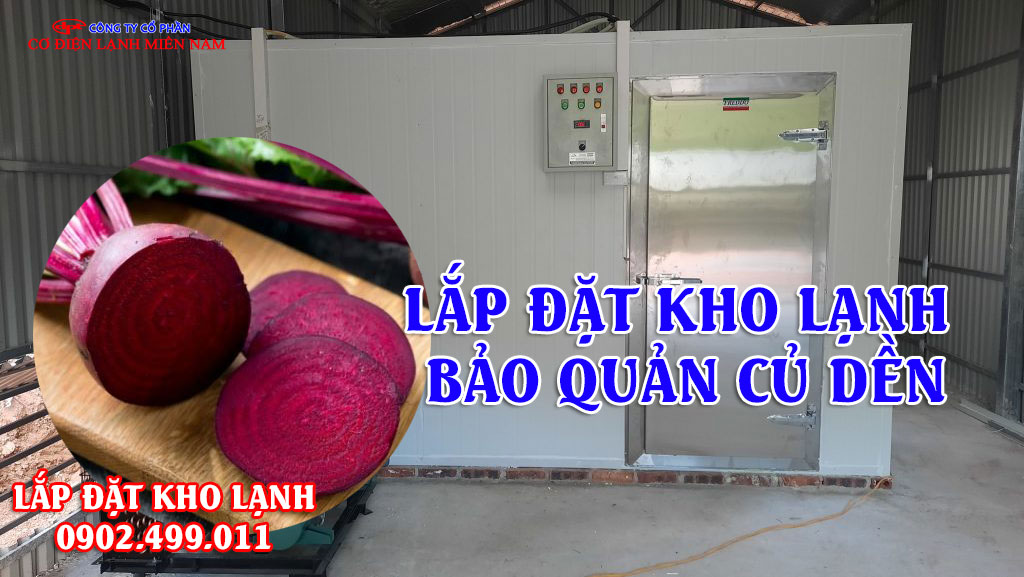 Lắp đặt kho lạnh bảo quản củ dền - Hình 2