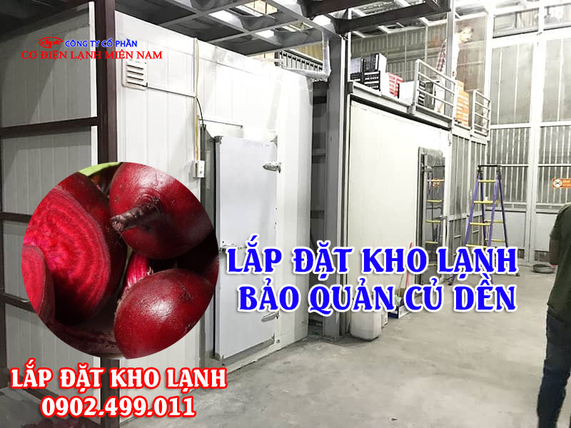 Lắp đặt kho lạnh bảo quản củ dền - Hình 3