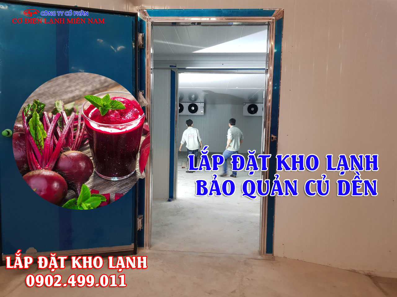 Lắp đặt kho lạnh bảo quản củ dền - Hình 4