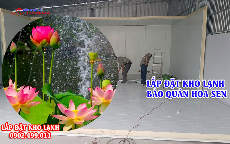 Lắp đặt kho lạnh bảo quản hoa sen - Hình 3