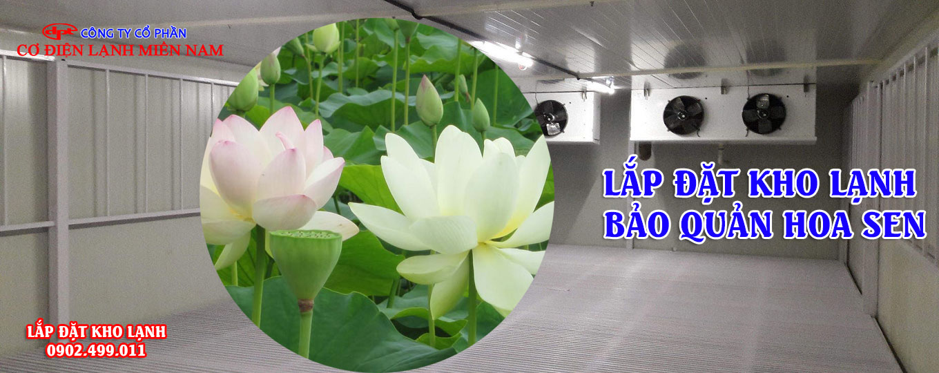 Lắp đặt kho lạnh bảo quản hoa sen - Hình 4